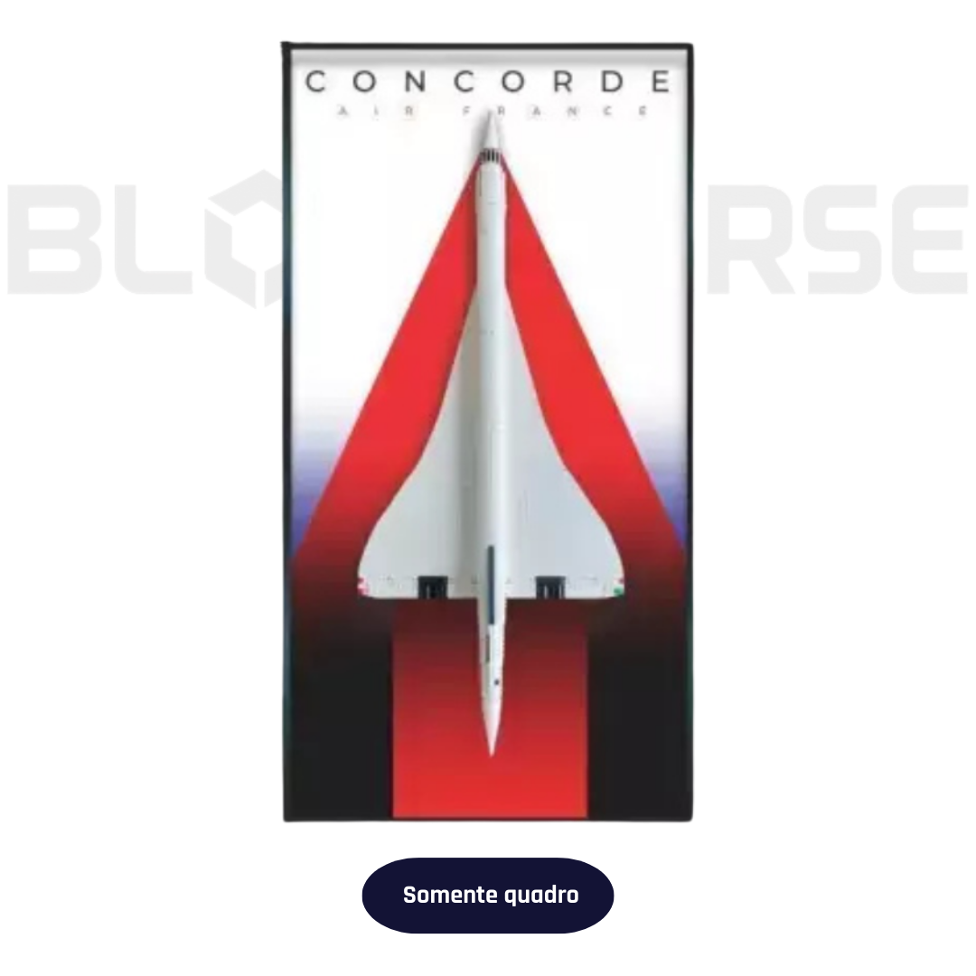 Concorde 03 Frame