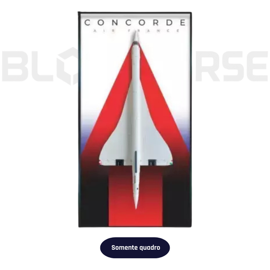Concorde 03 Frame